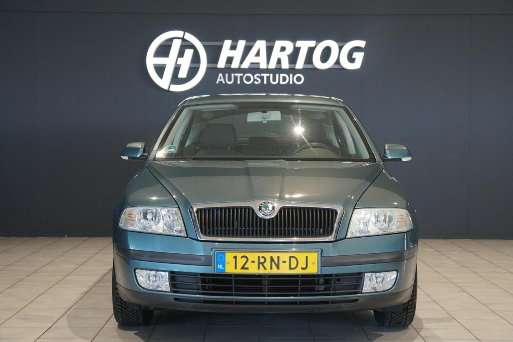 43781940-4.jpg
