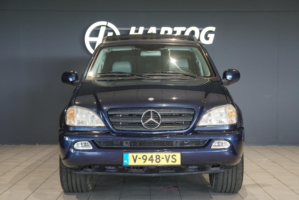 45740083-4.jpg
