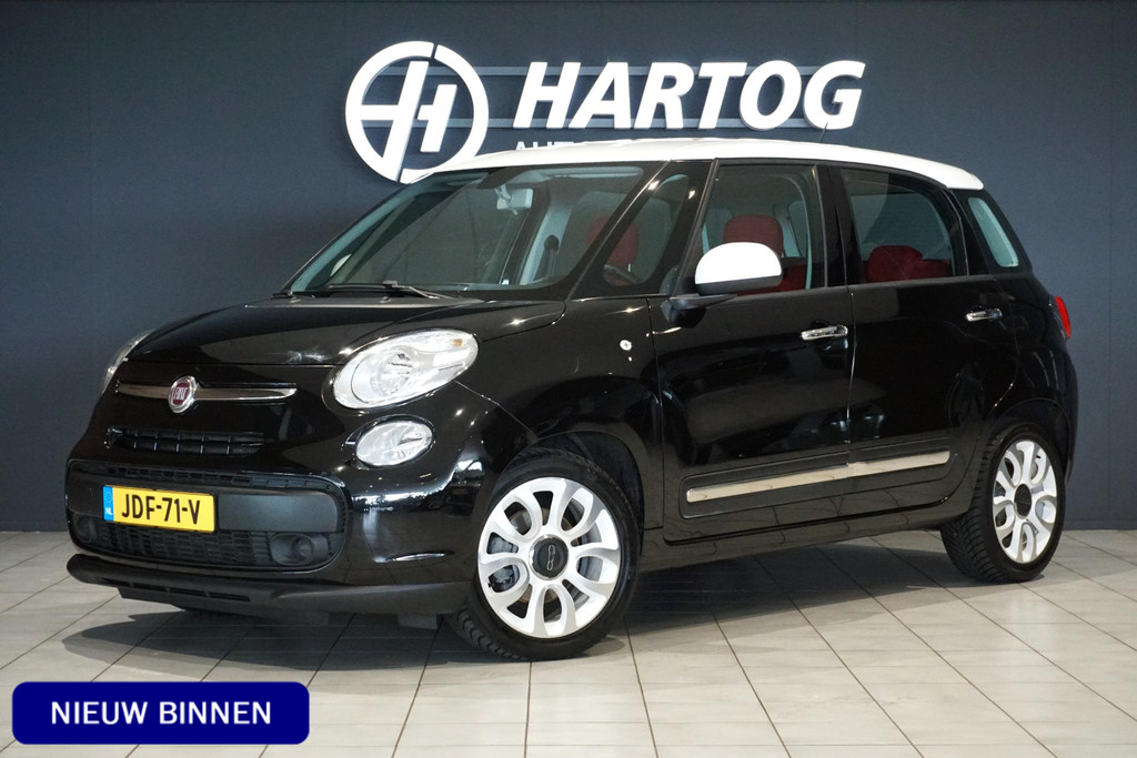 54328562